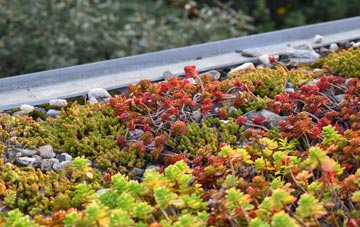 the cost of Welton Le Marsh green roof installation
