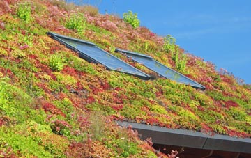 Welton Le Marsh living roof systems